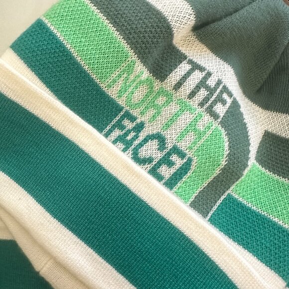 The North Face Retro Logo Beanie, Dark Sage - Picture 1 of 3